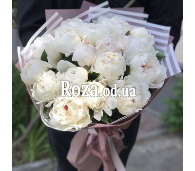 17 белых пионов 1