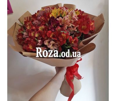 25 разноцветных альстромерий 7