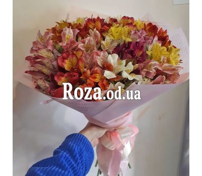 29 альстромерій 3