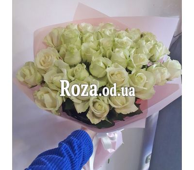 31 white rose 1