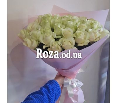 31 white rose 2