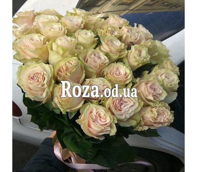 31 роза Пинк Мондиаль 4