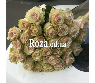 31 роза Пинк Мондиаль 5