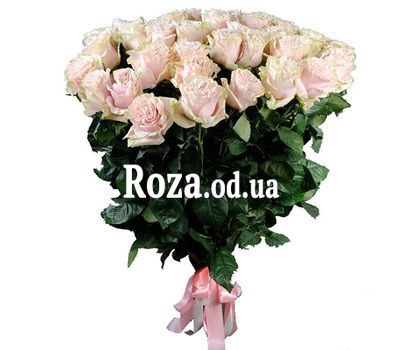 31 роза Пинк Мондиаль