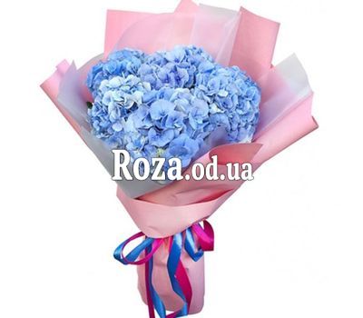 5 blue hydrangeas