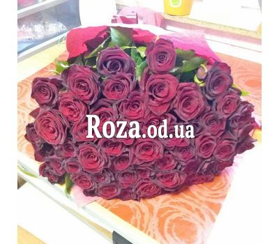 55 red roses 1