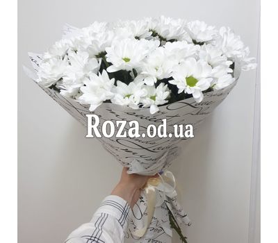 11 chamomile chrysanthemums - 4