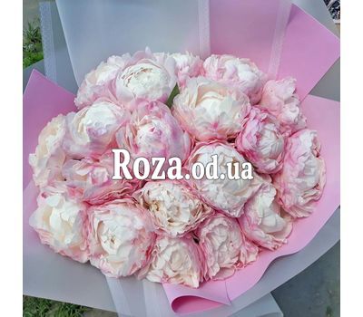 Букет из 25 розовых пионов 3