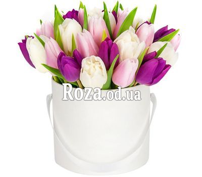 Букет из 25 тюльпанов в коробке
