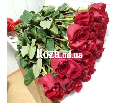 45 imported roses 1