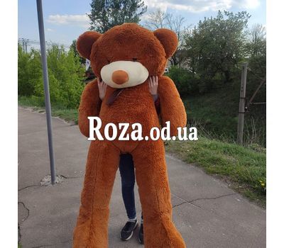 Коричневый мишка 2 м 2