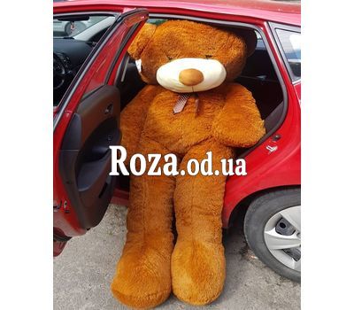 Коричневый мишка 2 м 3