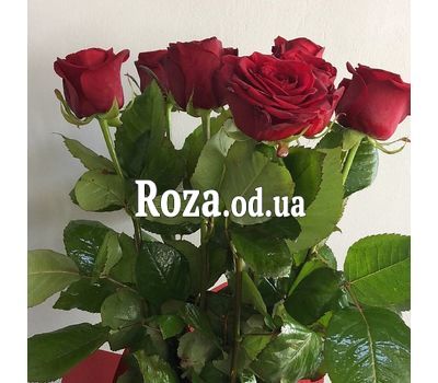 Красивый букет из 7 красных роз 3