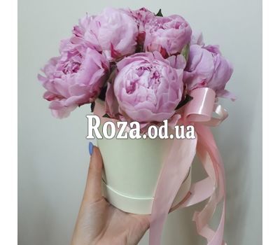 Півонії в коробці 4