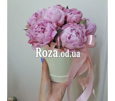 Півонії в коробці 5