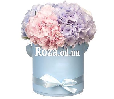Разноцветное облако