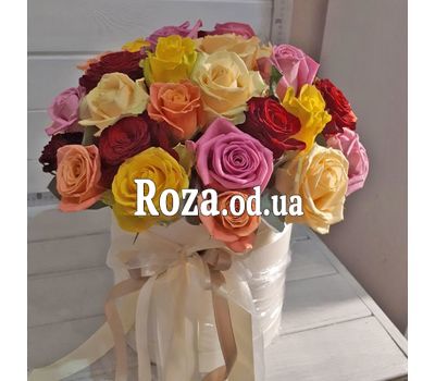 Roses in a Hat Box 8