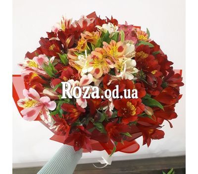 15 альстромерій 16