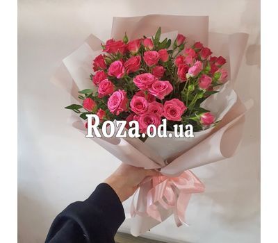 15 bush roses 3