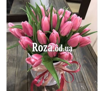 25 тюльпанів в коробці 6
