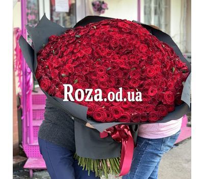 501 красная роза 70 см 1