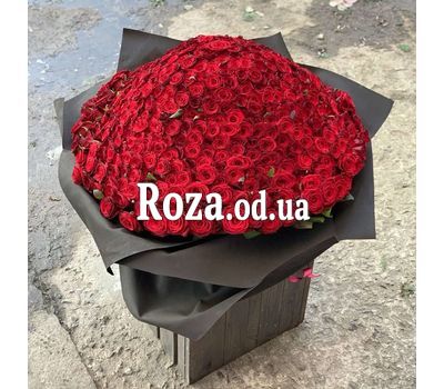 501 красная роза 70 см 2