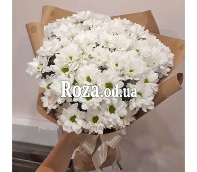 11 chamomile chrysanthemums 5