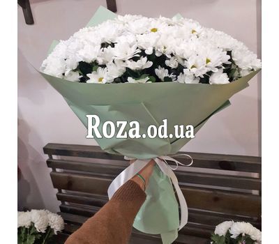 Букет 25 ромашковых хризантем 2