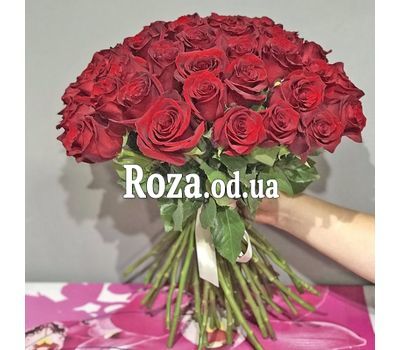 45 imported roses 3