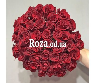 45 imported roses 4