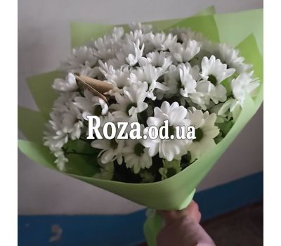 Букет из 7 ромашек 6