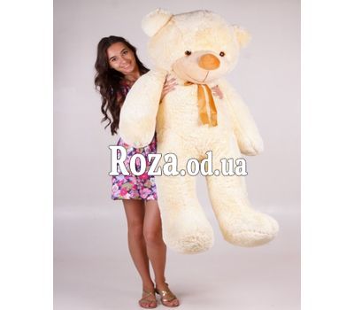 Cream bear 160 cm 1