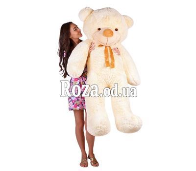 Cream bear 160 cm