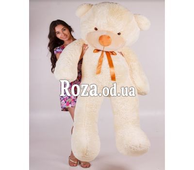 Cream bear 200 cm 1