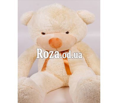 Cream bear 200 cm 3