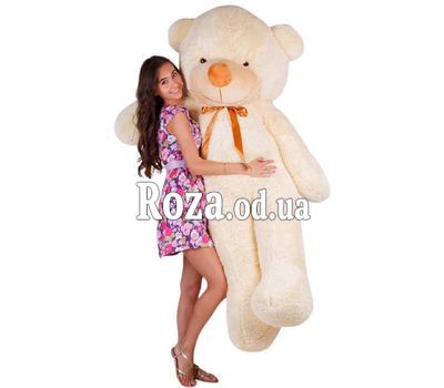 Cream bear 200 cm