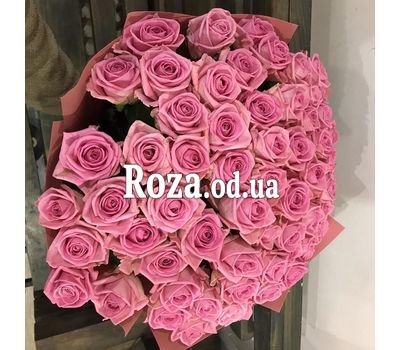 Pink roses 1