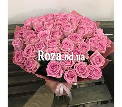 Pink roses 2