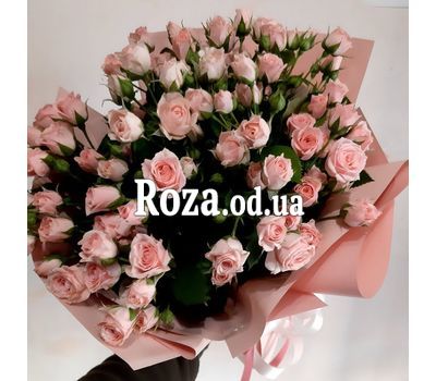 15 bush roses 4