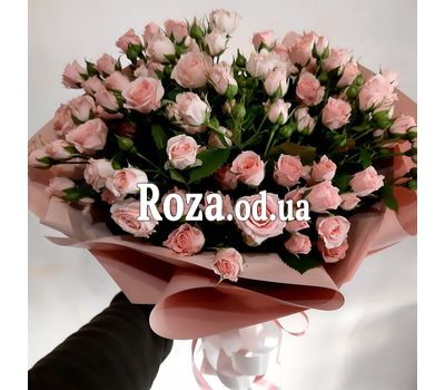 15 bush roses 5