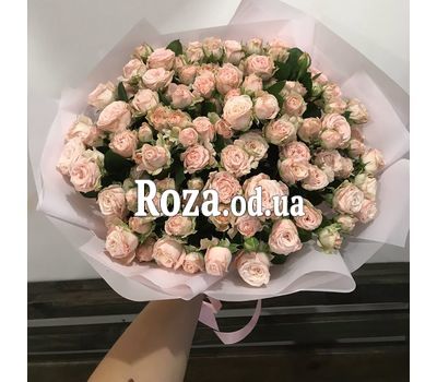 19 кущових троянд - вид 2