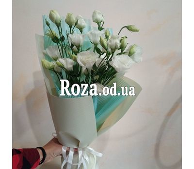 5 белых эустом 1