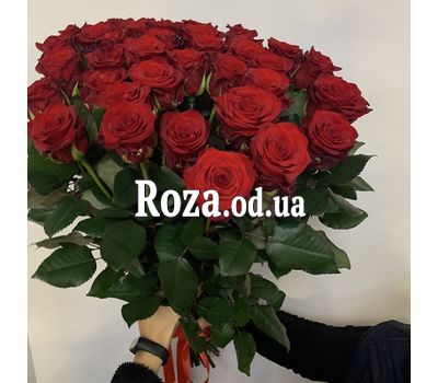51 красная роза 60 см 4