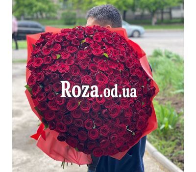 201 roses 70 cm 1