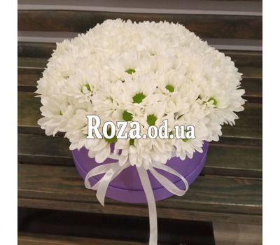 Букет ромашок в коробці 4