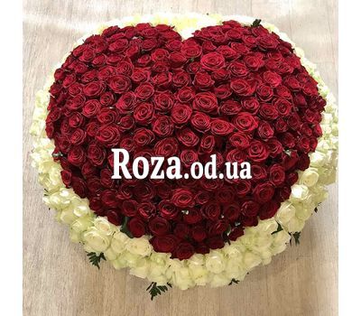 Сердце из 350 роз 4