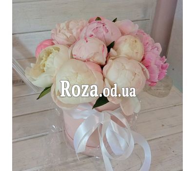Шикарные пионы в коробке 8