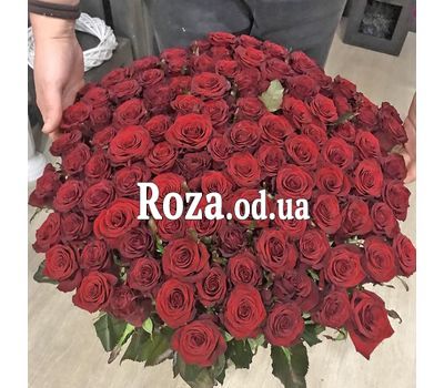 101 red rose 70 cm 8