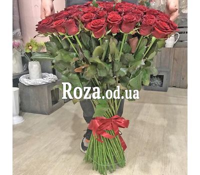 101 red rose 80 cm 5