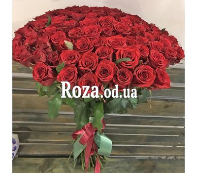 101 red rose 80 cm 6